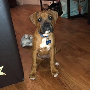 Meet your Posher, Amanda